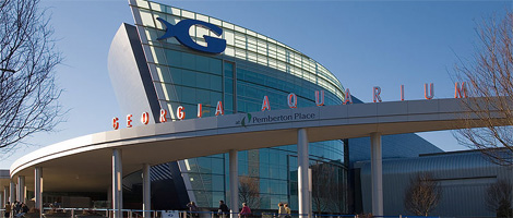 Verdens største akvarium